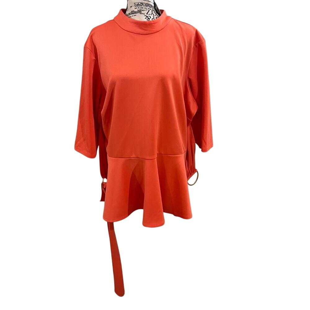 Ashley Stewart top plus sz 24